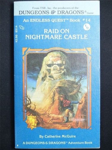 Adventure book raid - d&d, on
