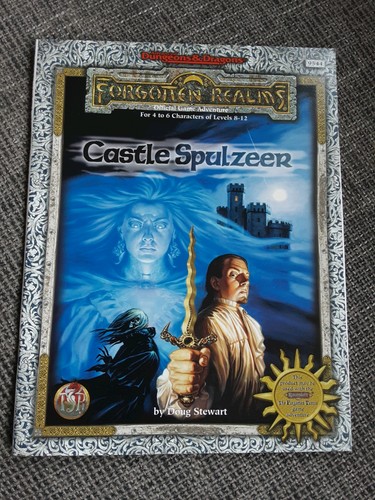 Forgotten realms castle - &, d